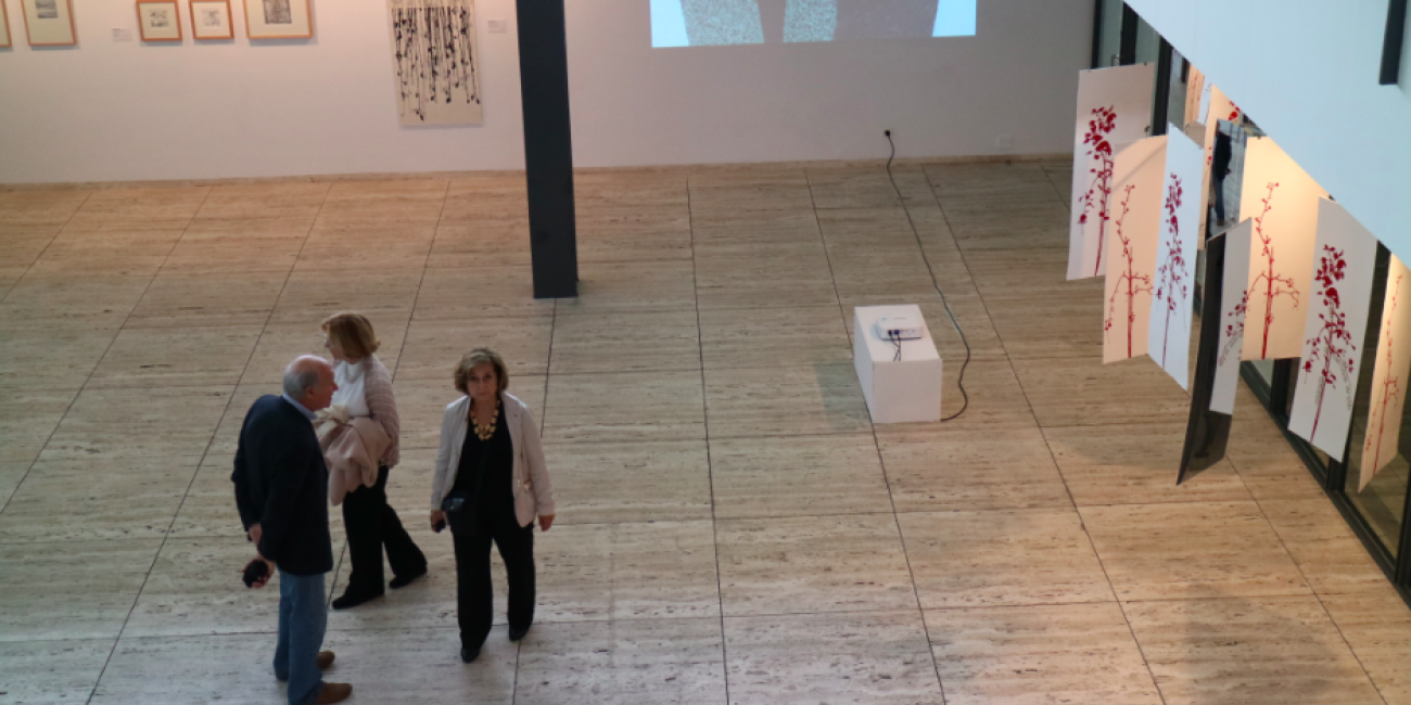 Exposi&ccedil;&atilde;o Di&aacute;logos